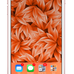 Styling Orange Leaf Wallpaper on my iPhone 6s Plus